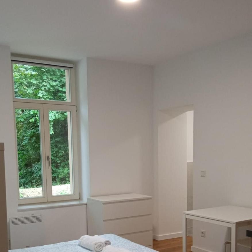 Studio Near To The City Centre Люксембург Екстериор снимка